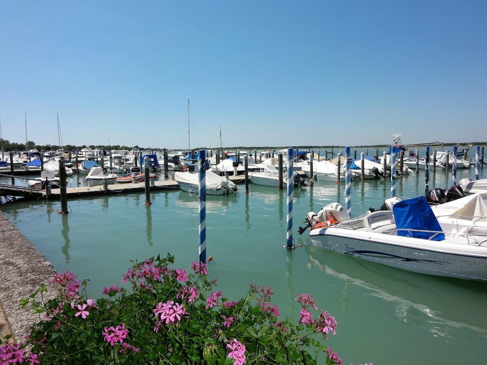 Albatros - Appartamenti Bibione Oda fotoğraf